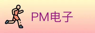 PM电子 logo